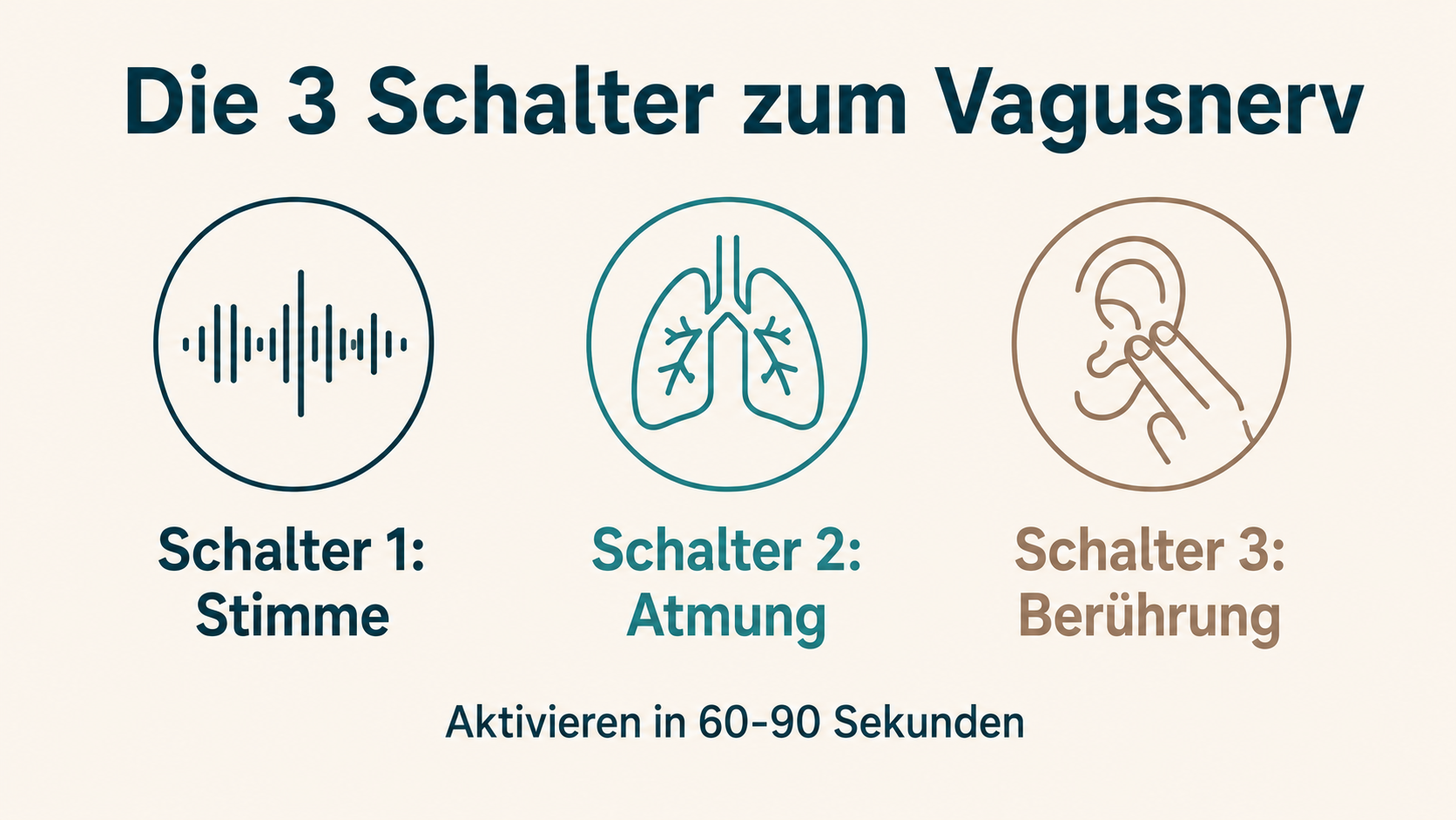 Die 3 Schalter zum Vagusnerv: Stimme, Atmung, Berührung