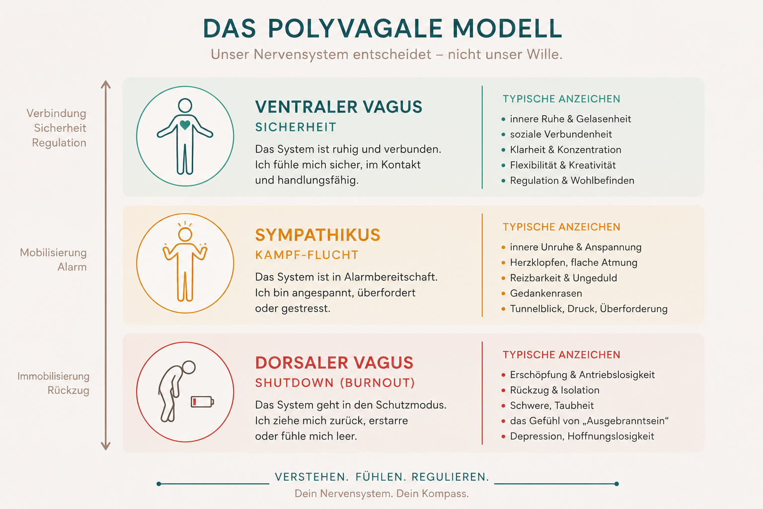 Polyvagal-Modell drei Stufen Infografik, Burnout als Shutdown-Zustand